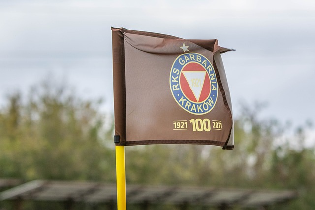 克难提供了 克难提供了