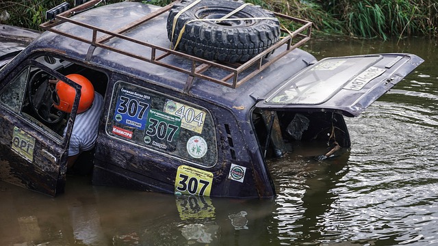 通过完善的 通过完善的