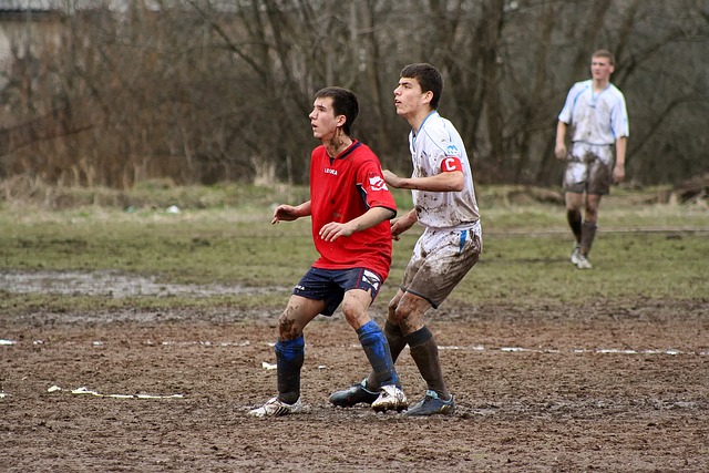 也引发了对 也引发了对