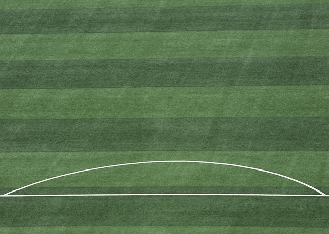 阵容不完整 阵容不完整