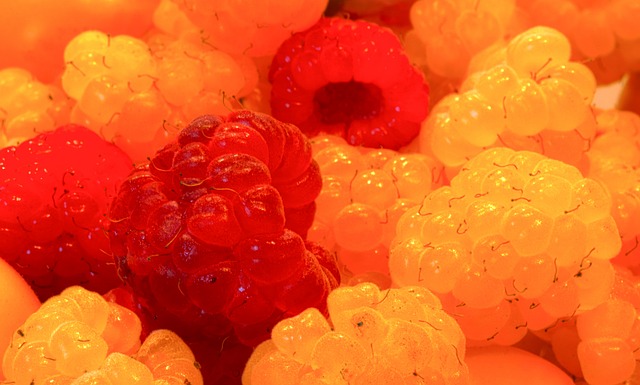 從整體比賽 從整體比賽